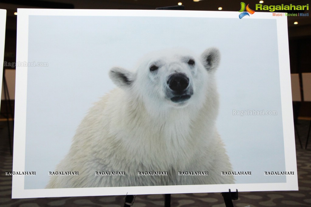 Arctic Svalbard Photo Showcase by Gopi Raju, Dhevin, Suresh Chitturi, Gautam Birudavolu, GV Prasad at Hotel Avasa