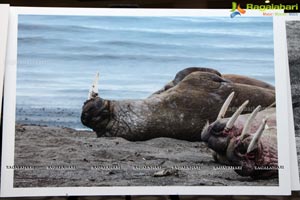 Arctic Svalbard Photo Showcase