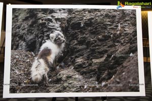 Arctic Svalbard Photo Showcase