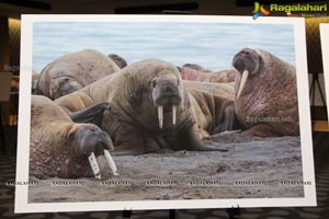 Arctic Svalbard Photo Showcase