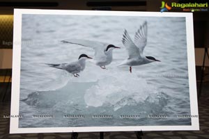 Arctic Svalbard Photo Showcase