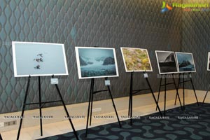 Arctic Svalbard Photo Showcase