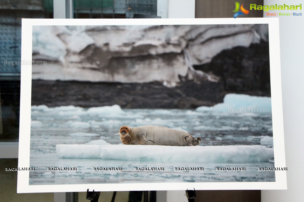 Arctic Svalbard Photo Showcase by Gopi Raju, Dhevin, Suresh Chitturi, Gautam Birudavolu, GV Prasad at Hotel Avasa
