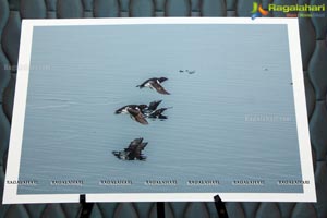 Arctic Svalbard Photo Showcase