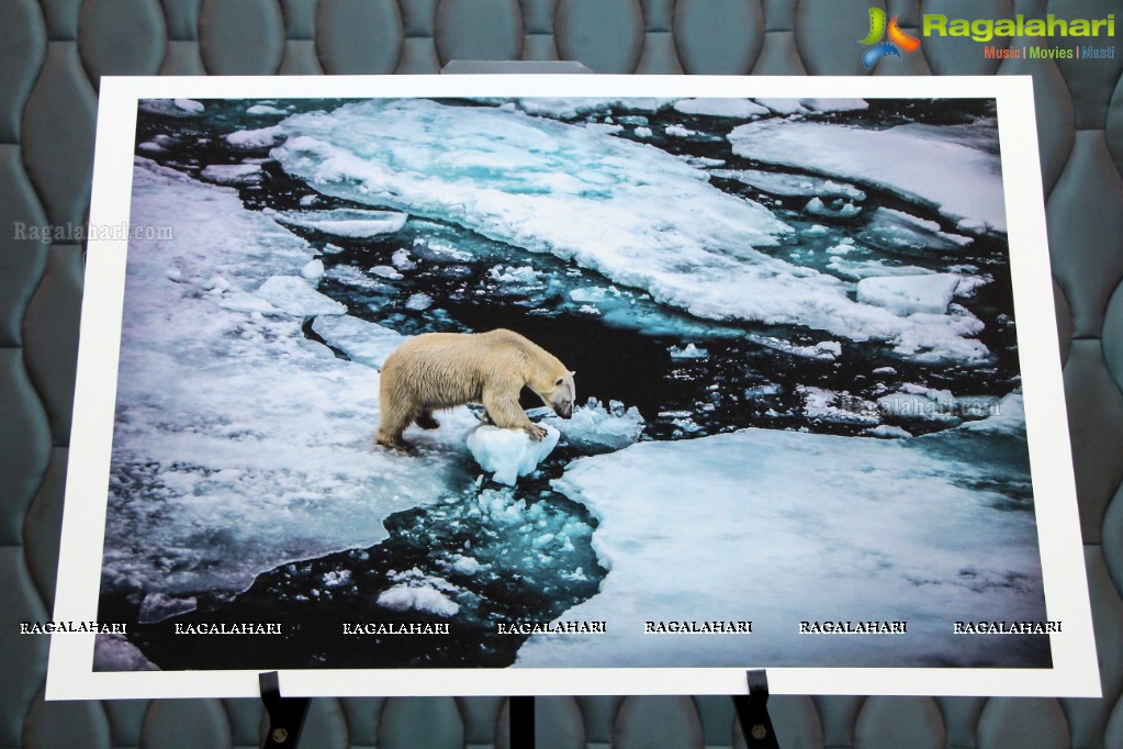 Arctic Svalbard Photo Showcase by Gopi Raju, Dhevin, Suresh Chitturi, Gautam Birudavolu, GV Prasad at Hotel Avasa