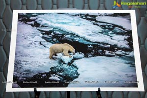 Arctic Svalbard Photo Showcase