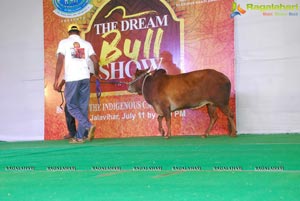 The Dream Bull Show