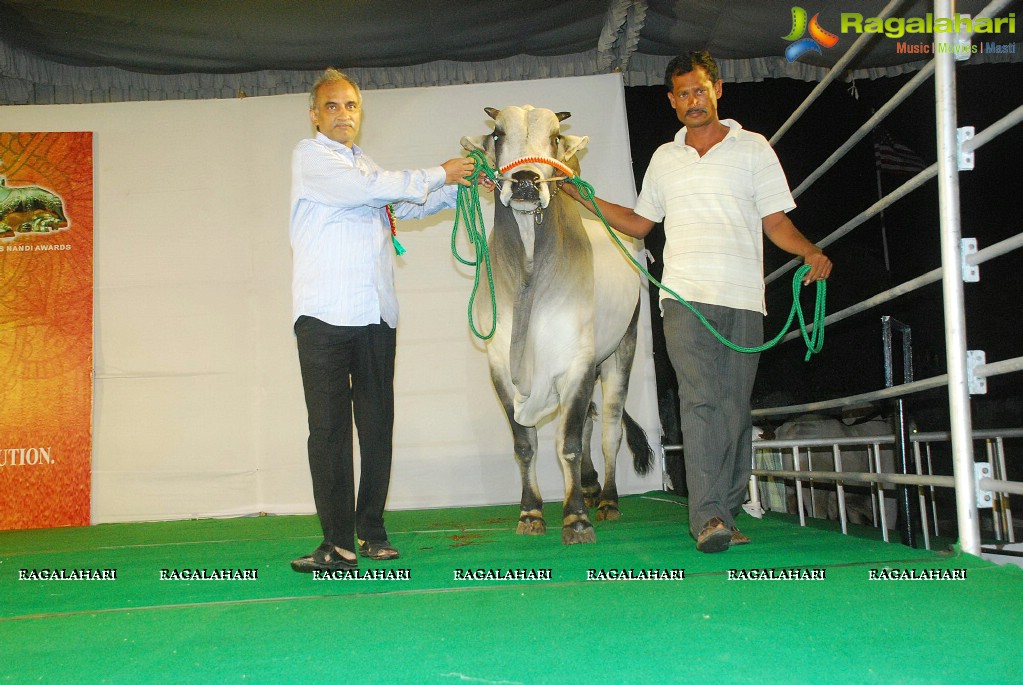 The Dream Bull Show in Hyderabad