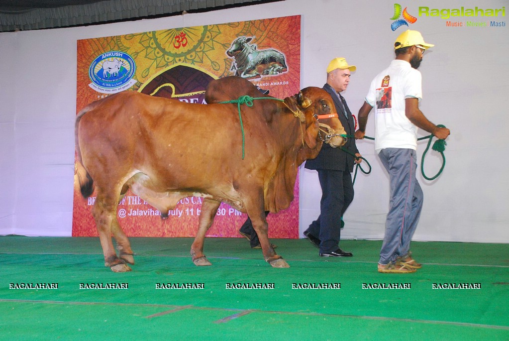 The Dream Bull Show in Hyderabad