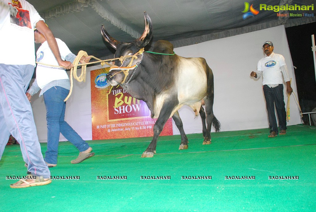 The Dream Bull Show in Hyderabad