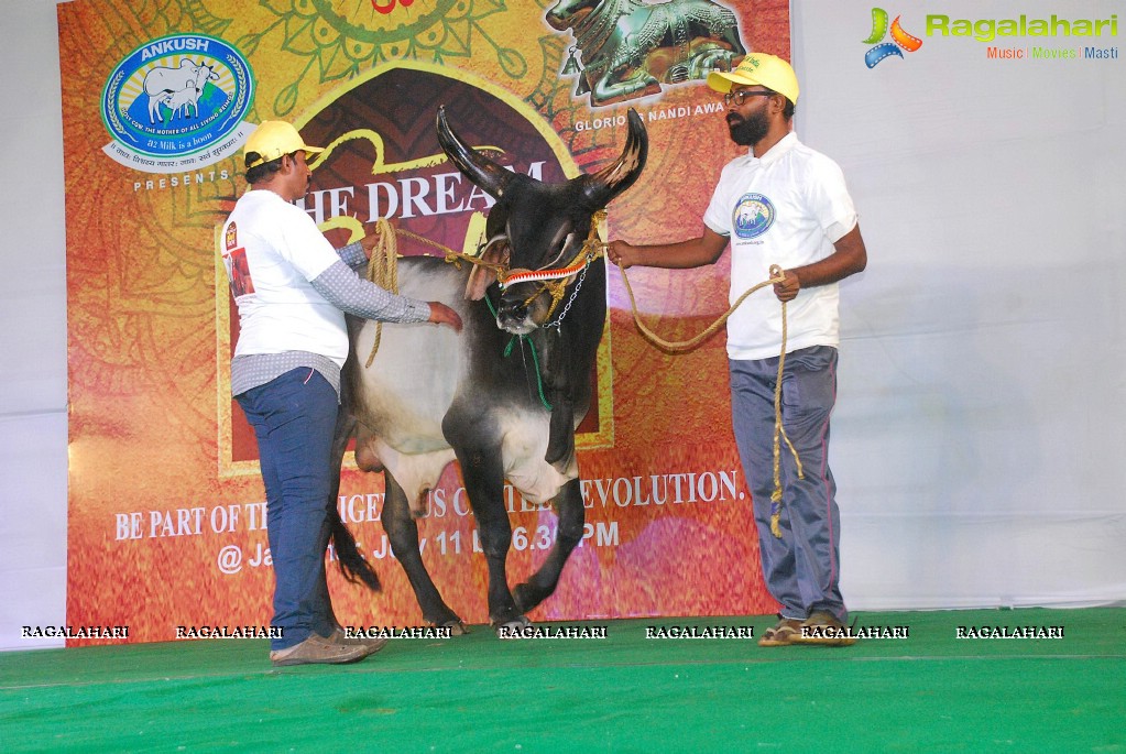 The Dream Bull Show in Hyderabad