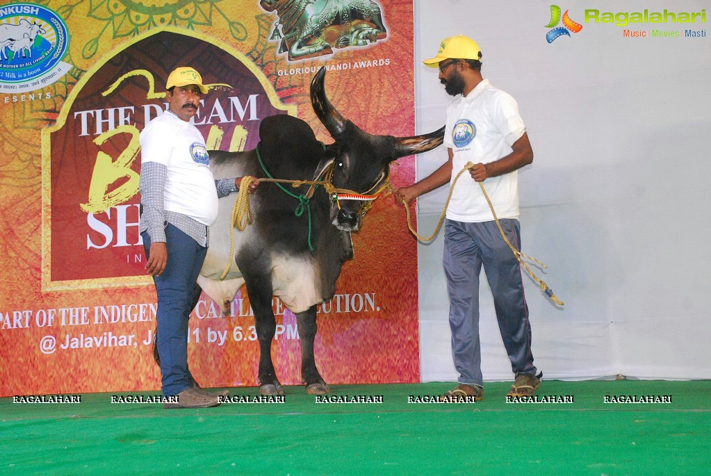 The Dream Bull Show in Hyderabad