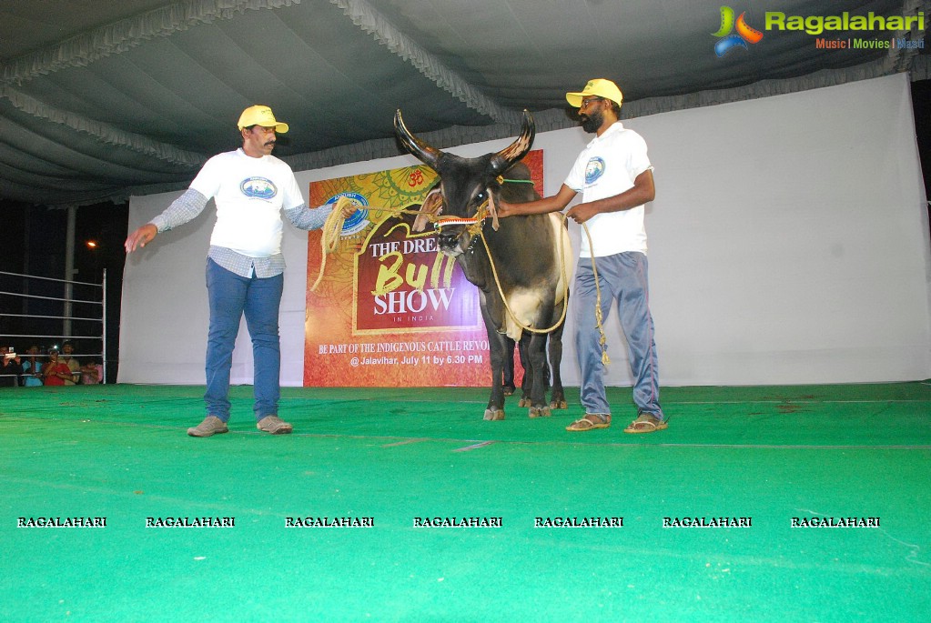 The Dream Bull Show in Hyderabad