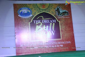 The Dream Bull Show