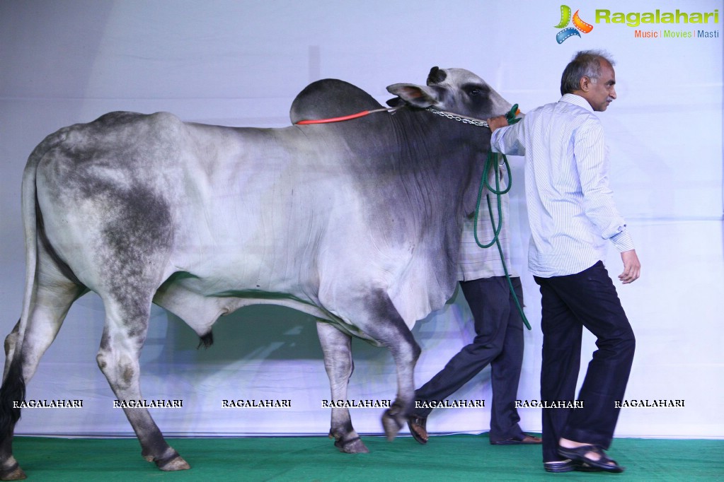The Dream Bull Show in Hyderabad