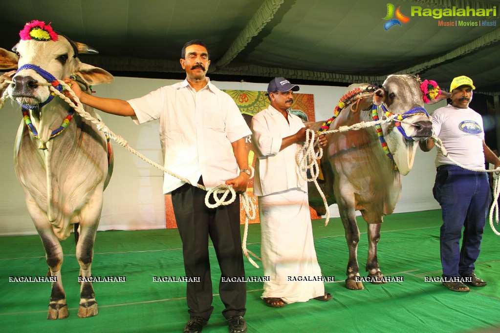 The Dream Bull Show in Hyderabad