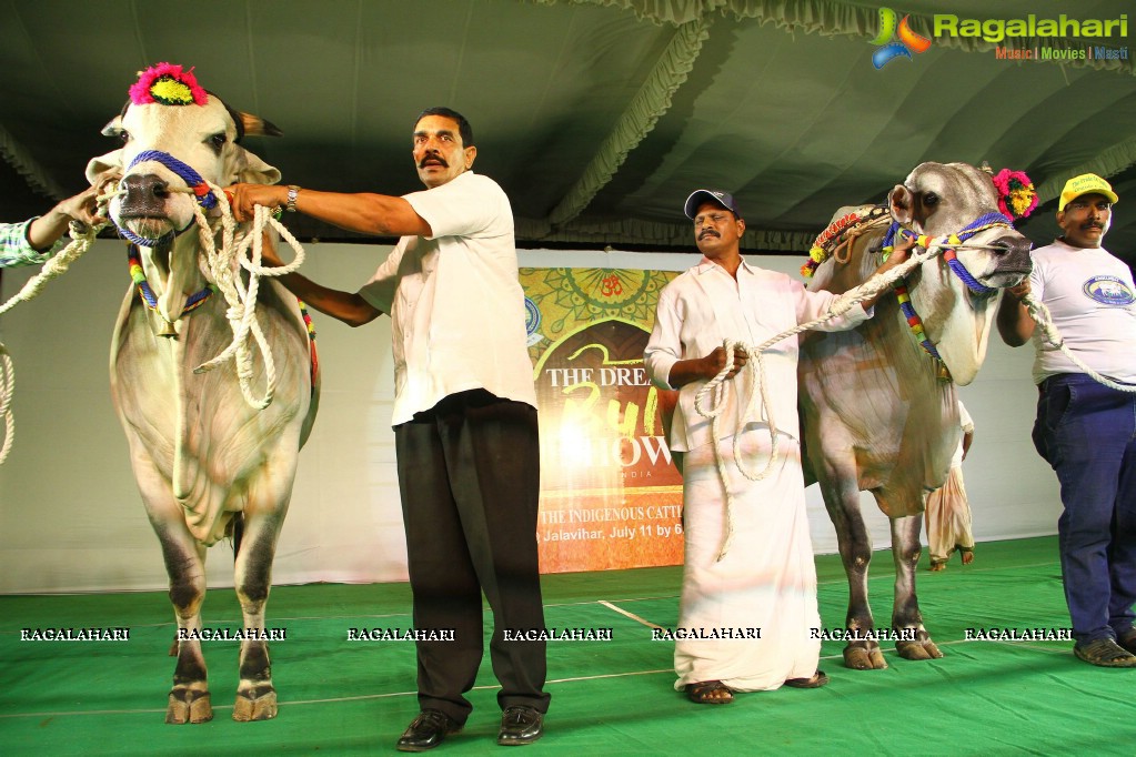 The Dream Bull Show in Hyderabad