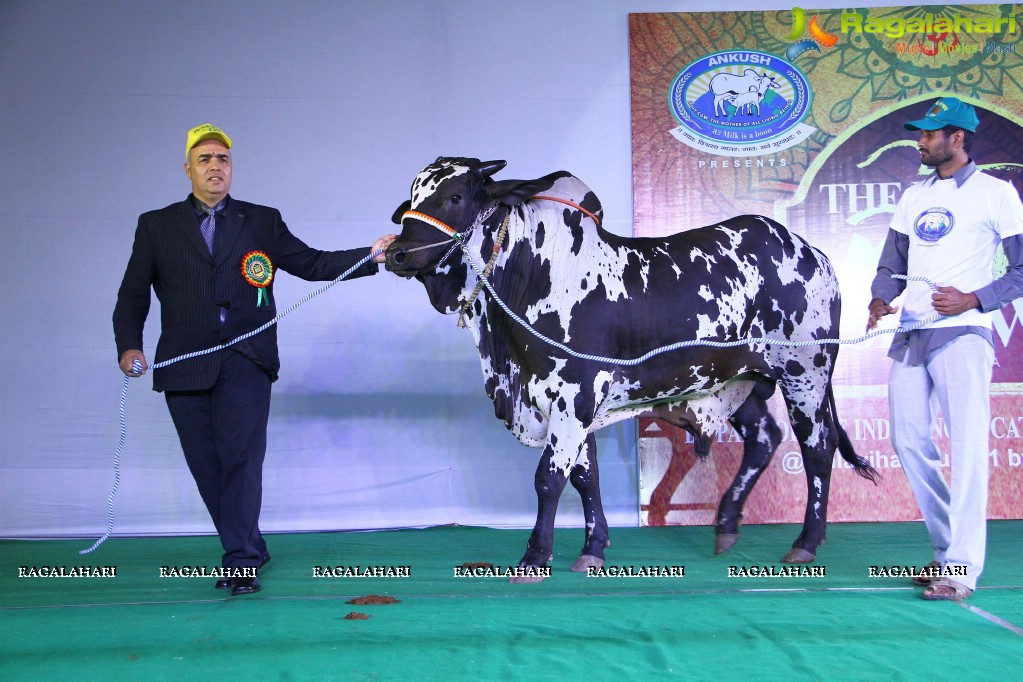 The Dream Bull Show in Hyderabad