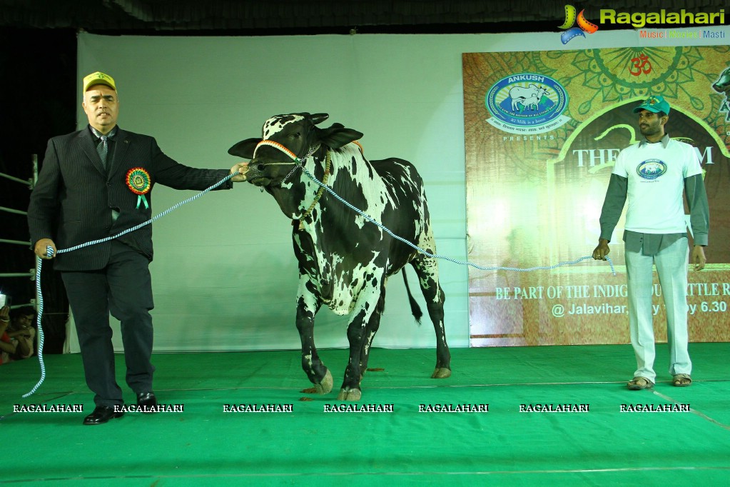 The Dream Bull Show in Hyderabad