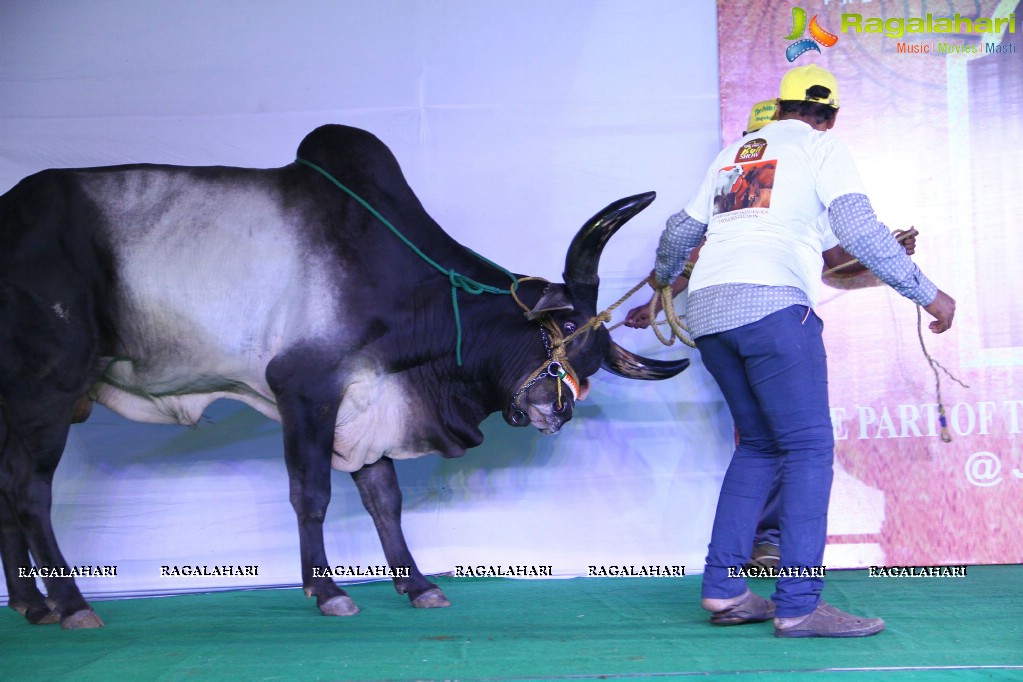 The Dream Bull Show in Hyderabad