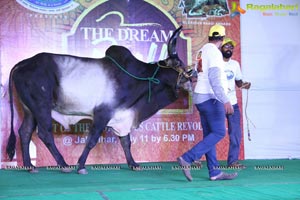 The Dream Bull Show