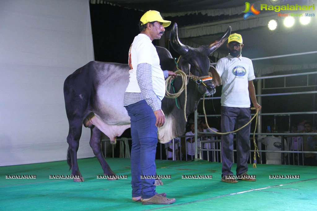 The Dream Bull Show in Hyderabad