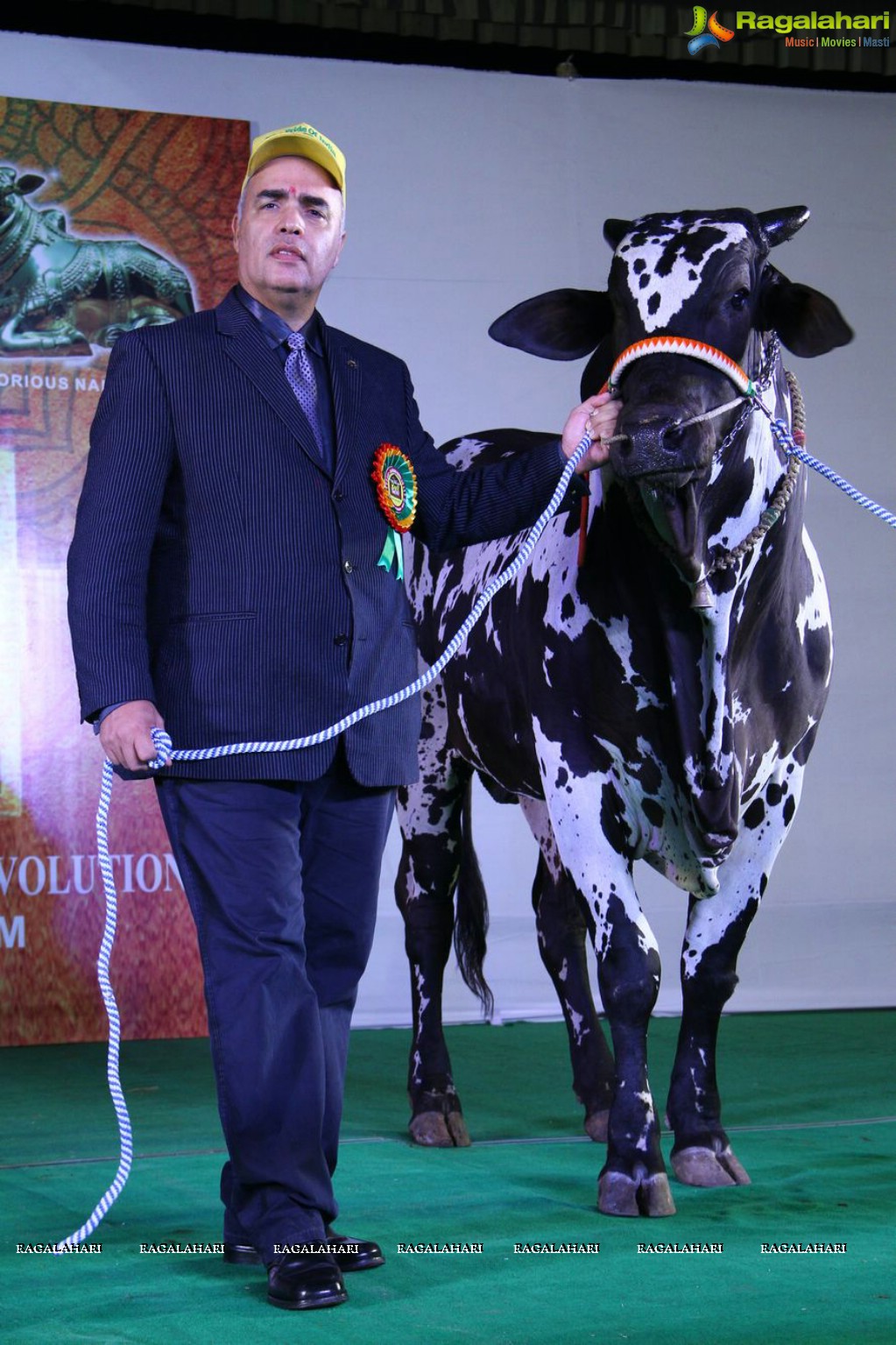 The Dream Bull Show in Hyderabad