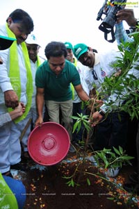 Hyderabad Tree Plantation Drive