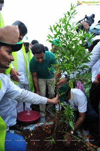 Hyderabad Tree Plantation Drive