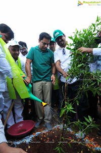 Hyderabad Tree Plantation Drive