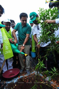 Hyderabad Tree Plantation Drive