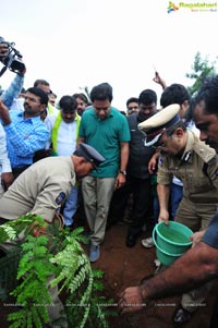 Hyderabad Tree Plantation Drive