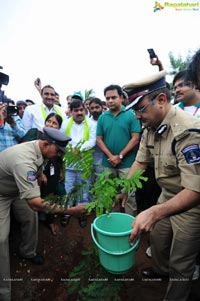 Hyderabad Tree Plantation Drive