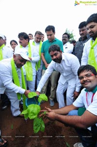 Hyderabad Tree Plantation Drive