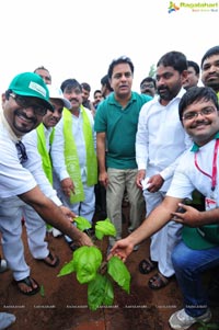 Hyderabad Tree Plantation Drive