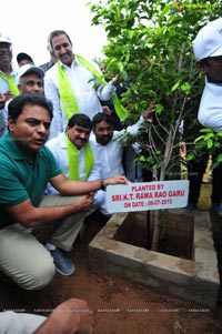 Hyderabad Tree Plantation Drive