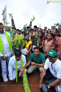 Hyderabad Tree Plantation Drive