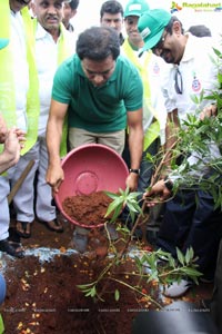 Hyderabad Tree Plantation Drive