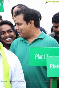 Hyderabad Tree Plantation Drive