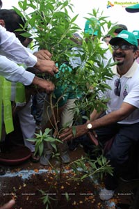 Hyderabad Tree Plantation Drive