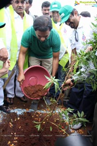 Hyderabad Tree Plantation Drive