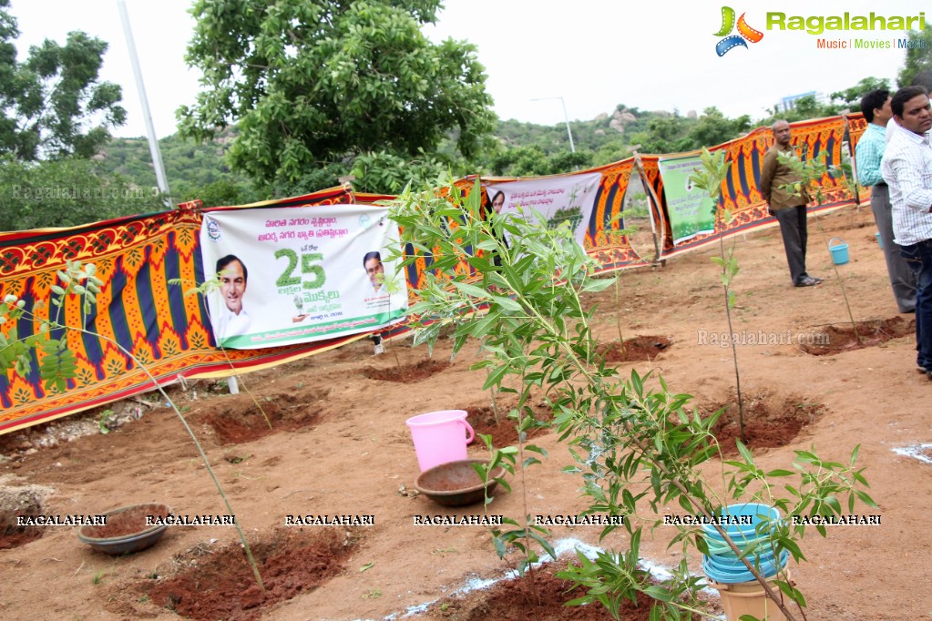 Mega Tree Plantation Drive by K. T. Rama Rao in Hyderabad