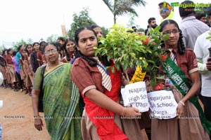 Hyderabad Tree Plantation Drive