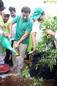 Hyderabad Tree Plantation Drive