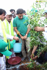 Hyderabad Tree Plantation Drive