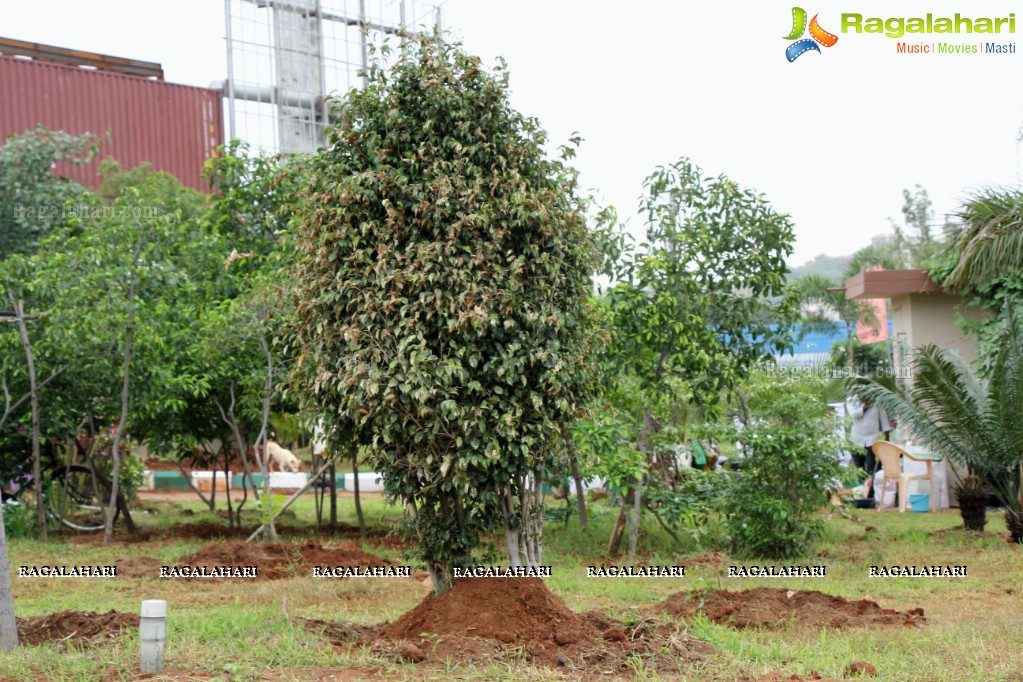 Mega Tree Plantation Drive by K. T. Rama Rao in Hyderabad