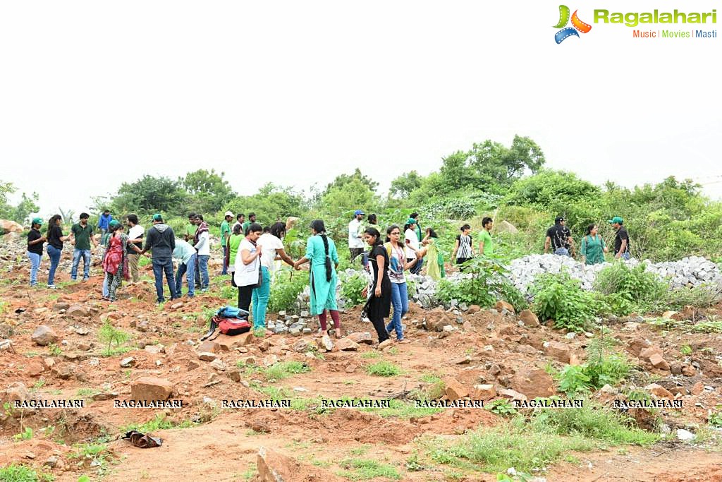 IT Industry’s massive response to Government of Telangana’s 25 Lakh Plantation Drive