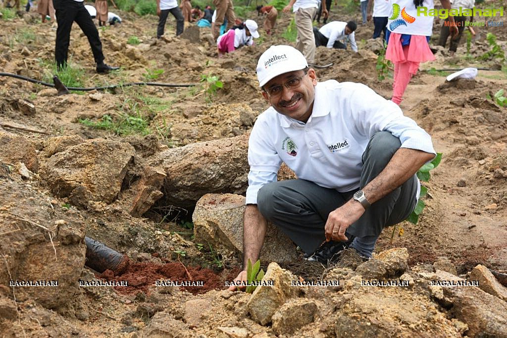 IT Industry’s massive response to Government of Telangana’s 25 Lakh Plantation Drive