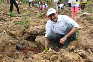 Hyderabad IT Haritha Haram