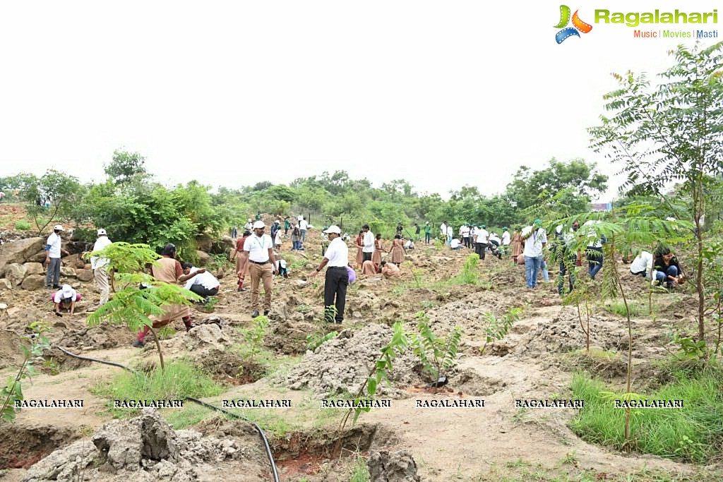 IT Industry’s massive response to Government of Telangana’s 25 Lakh Plantation Drive